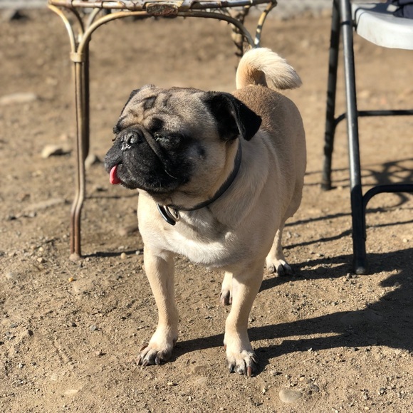 ALL NFS IS DONATED 👀 - Picture 3 of 6